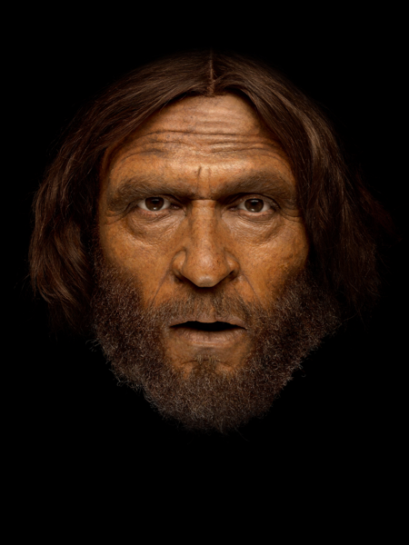 Ötzi the Iceman — reconstruction