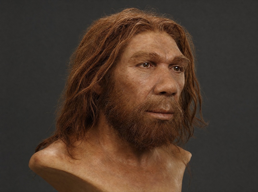 Vindija Neanderthal — reconstruction